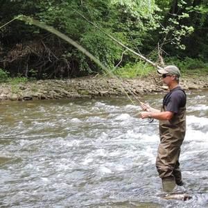 Meet your Posher, Carolyn